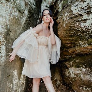 Beige Tulle Off The Shoulder Dress